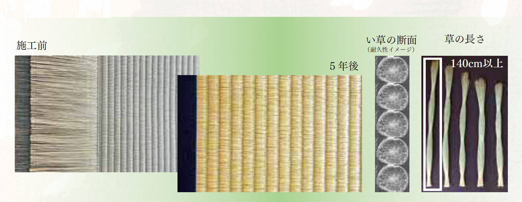 [公式]安城市・高浜の杉浦畳店|畳張替え/襖張替え/障子張替え/網戸張替えはお任せ下さい