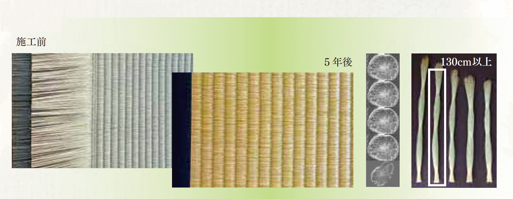 [公式]安城市・高浜の杉浦畳店|畳張替え/襖張替え/障子張替え/網戸張替えはお任せ下さい